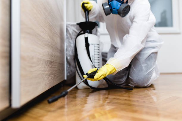 Best Best Pest Control Companies  in Lyndon, KY