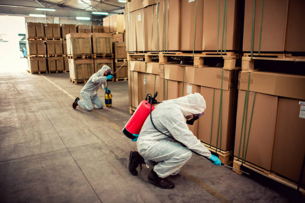 Best Cockroach Control Services  in Lyndon, KY