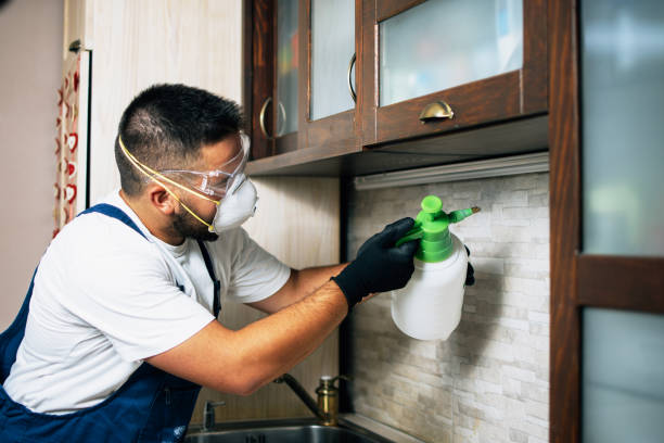 Pest Control Cost in Lyndon, KY