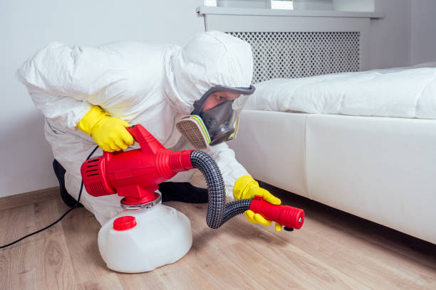 Professional Pest Control in Lyndon, KY