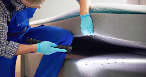 Best Wasp Removal Services  in Lyndon, KY
